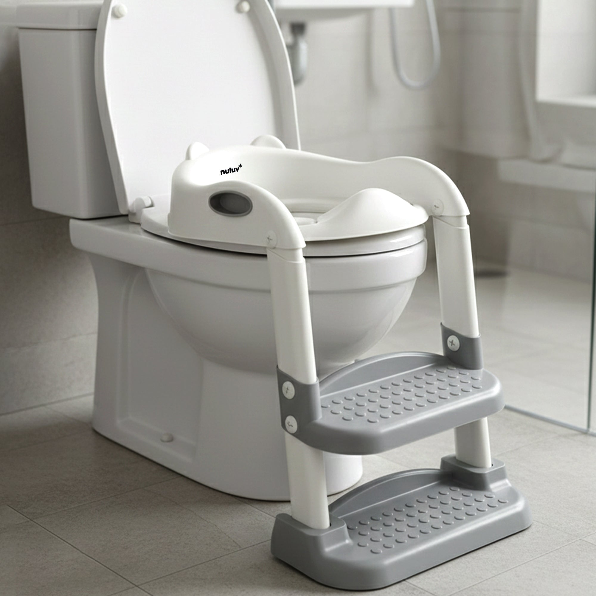 Baby Potty Training Seat with Step Ladder For 12+ Months