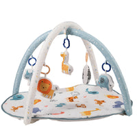 Nuluv Playgym - Jungle Birth to 12 Months Multicolor